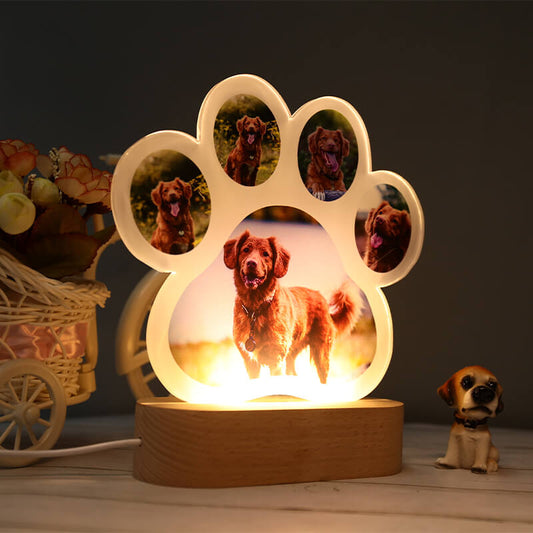 Custom dog paw lamp