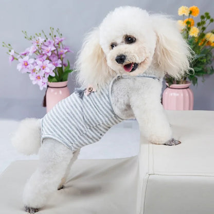 Unisex Pet Physiological Pants Underwear Dog Clothes Puppy Diaper Strap Briefs Female Sanitary Panties Shorts Pet Supplies